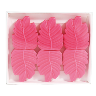 Lotus & White Sage Box of 6 Leaf Shaped Wax Melts