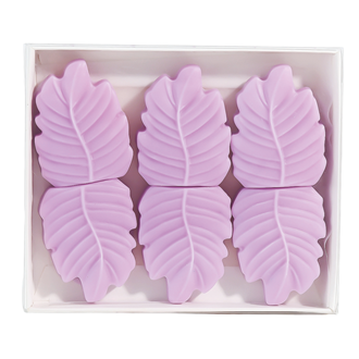 Passion Flower & Mango Box of 6 Leaf Shaped Wax Melts